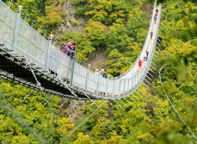 im Urlaub auf dem Bauernhof im Hunsrück zur Hängeseilbrücke Geierlay wandern