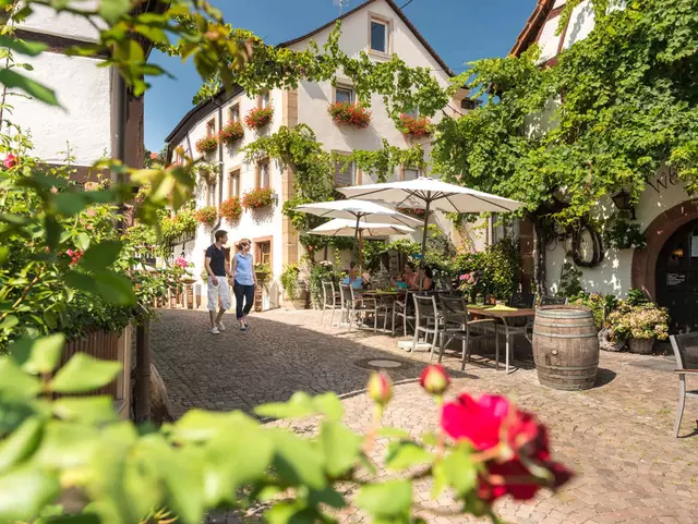 im Urlaub auf dem Winzerhof in der Pfalz durch Winzergassen spazieren