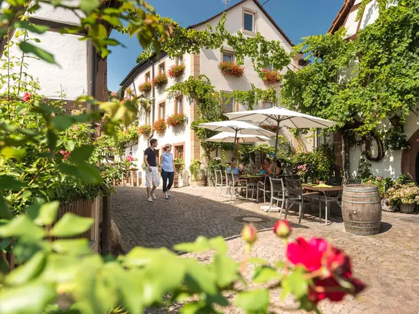 im Urlaub auf dem Winzerhof in der Pfalz durch Winzergassen spazieren