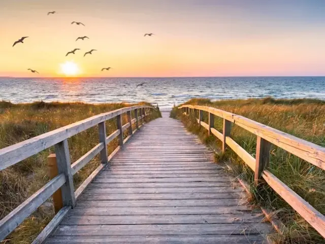 Blick über einen Holzsteg durch die Dünen auf das Meer bei Abendstimmung. Am Himmel fliegen ein paar Möven.