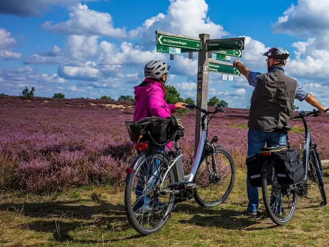 Ein älteres Paar mit Fahrrädern orientiert sich an den Radwegschildern auf dem Heidschnuckenweg in der Lüneburger Heide.