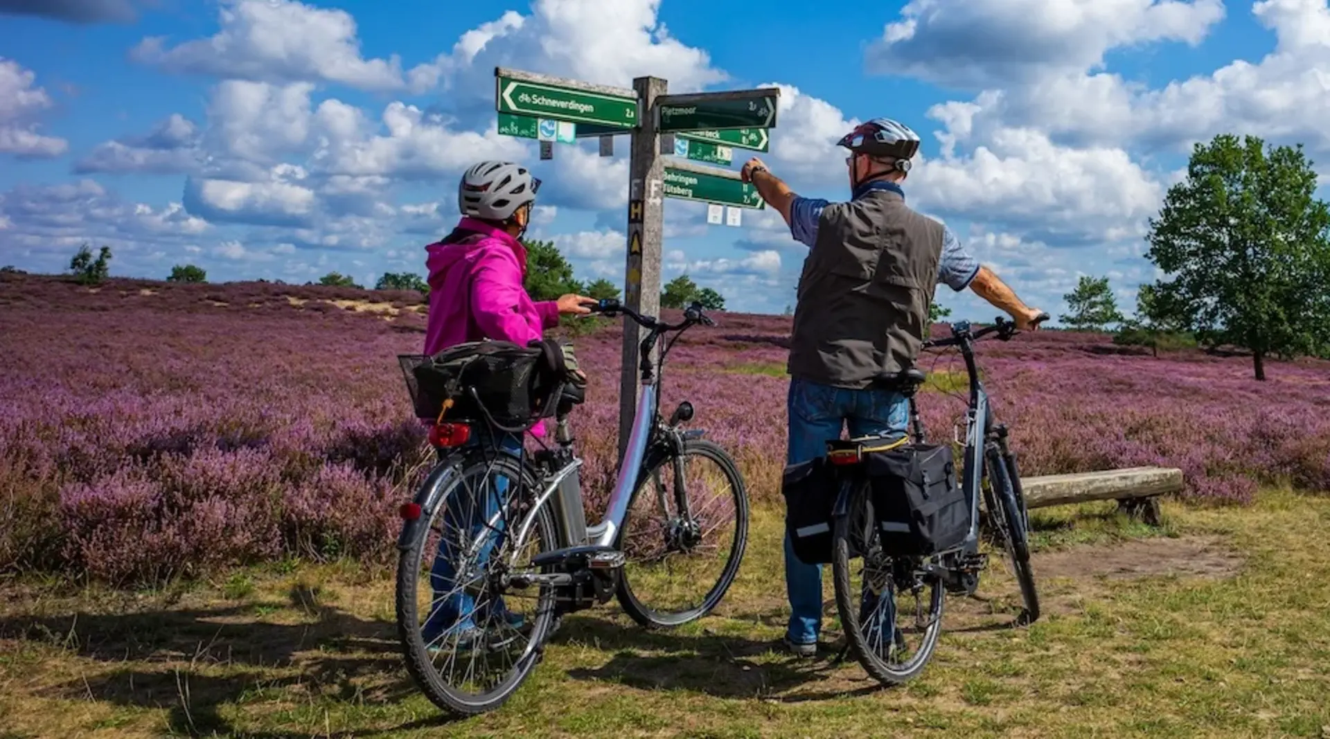 Lüneburger Heide Ferienhäuser: Radurlaub durch die Lüneburger heide