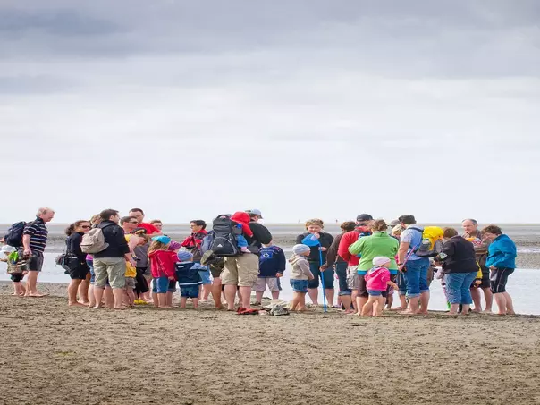 Wattwanderung an der Nordsee Schleswig-Holstein