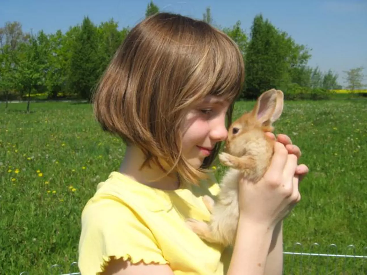 Hasenliebe. Mit den Kaninchen auf Du und Du.