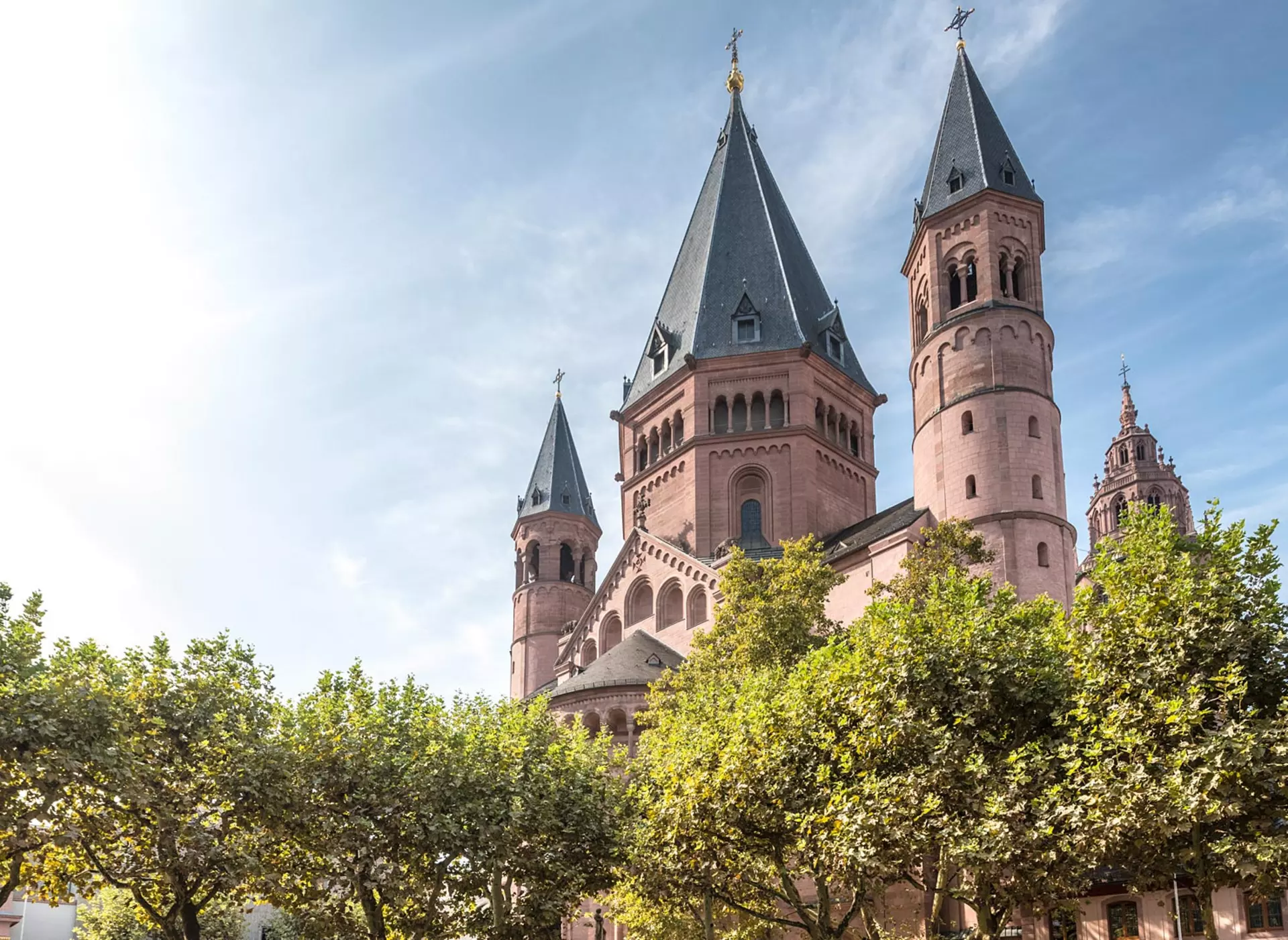 im Urlaub auf dem Weingut in Rheinhessen Mainz mit dem Mainzer Dom besuchen
