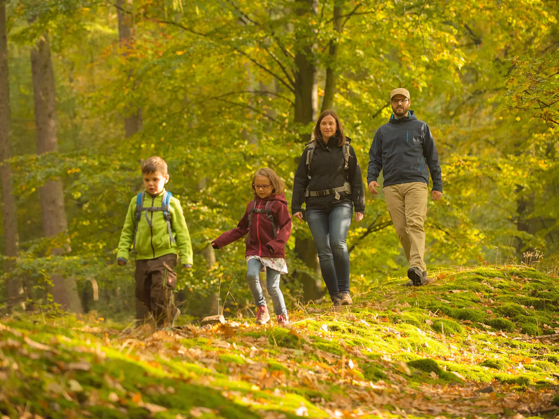 Familie wandert im Spessart, dem größten zusammenhängenden Laubwäldern in Deutschland. 
