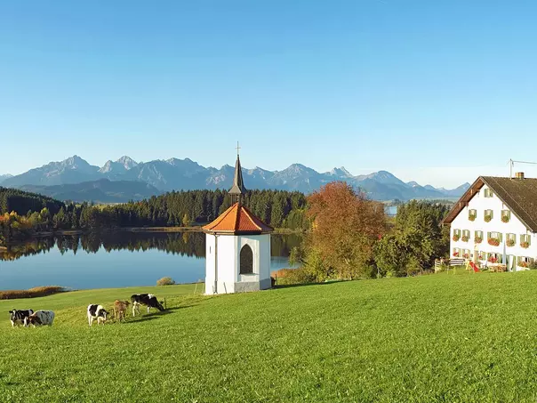 Urlaub auf dem Bauernhof im Allgäu verbringen