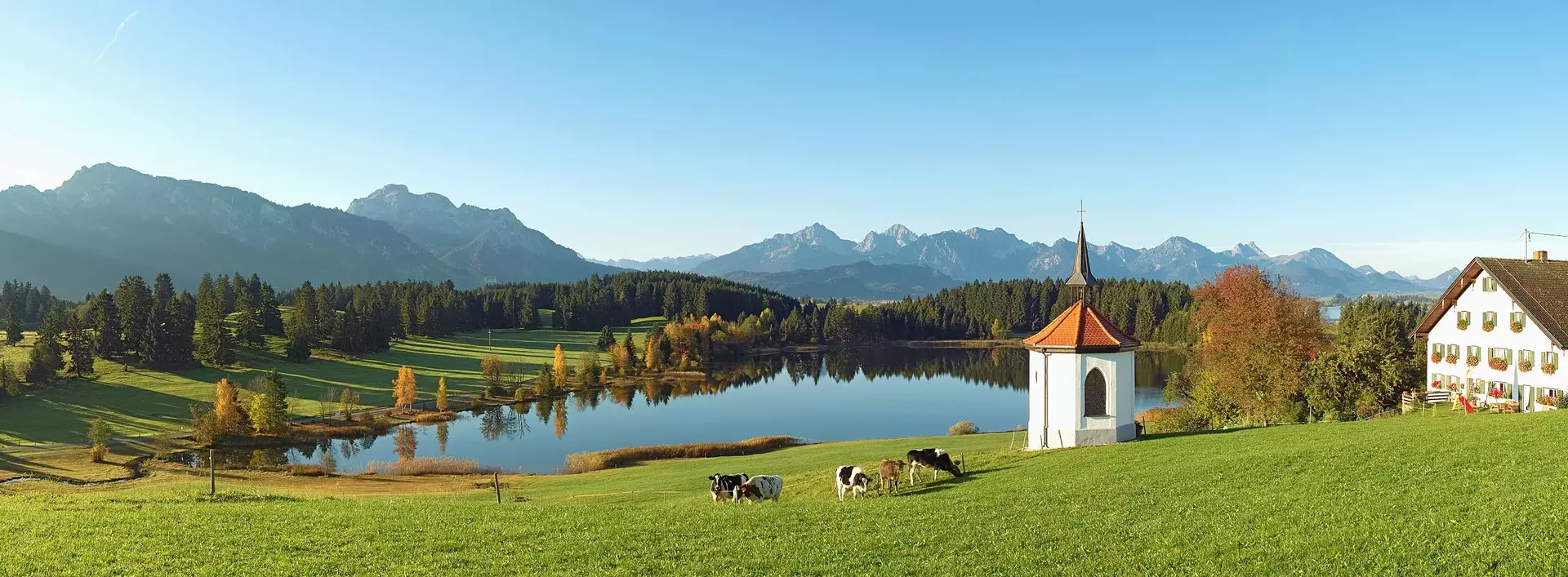 Urlaub auf dem Bauernhof im Allgäu verbringen