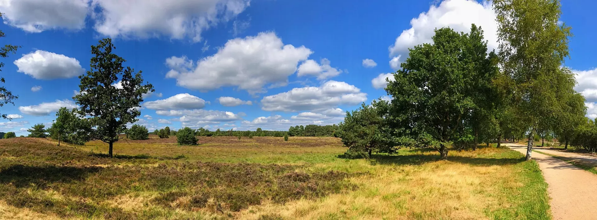 Urlaub in Wald und Heide - Wandern, Rad fahren und reiten in der Lüneburger Heide