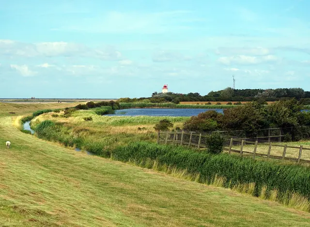 Der Leuchtturm Westermarkelsdorf ist ein denkmalgeschützter Leuchtturm auf der Insel Fehmarn.