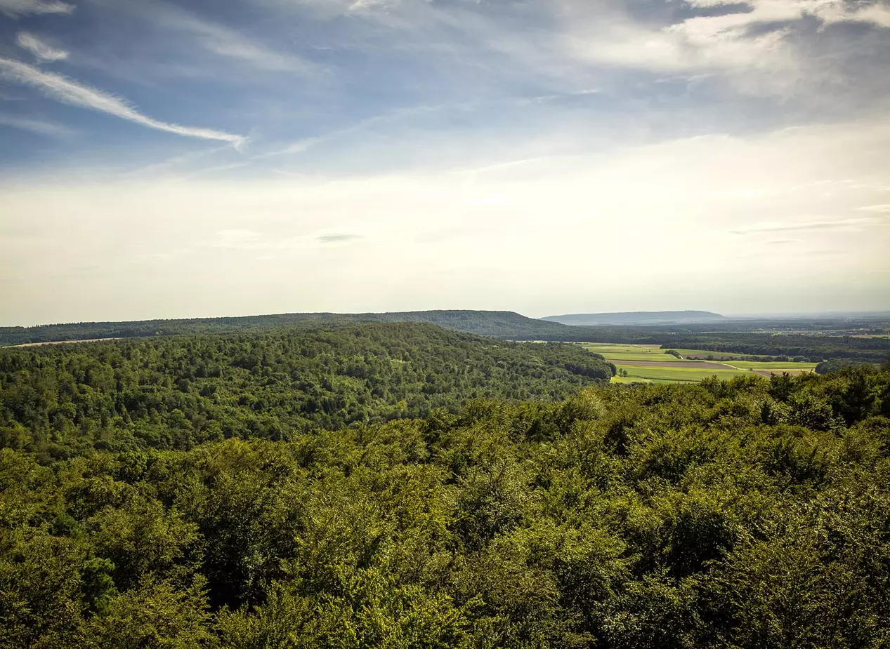 im Urlaub auf dem Bauernhof im Steigerwald den Baumwipfelpfad besuchen und den Ausblick genießen