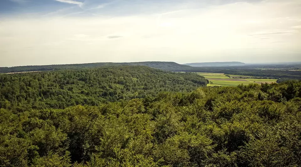 Ausblick vom Baumwipfelpfad im Steigerwald - © Pixabay.de, Markus Spiske im Urlaub auf dem Bauernhof im Steigerwald den Baumwipfelpfad besuchen und den Ausblick genießen