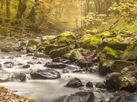 Der Spessart ist ein Mittelgebirge zwischen Rhön, Odenwald und Vogelsberg.