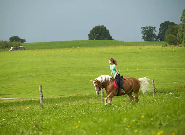 im Urlaub auf dem Reiterhof in Bayern über Wiesen und Felder reiten 