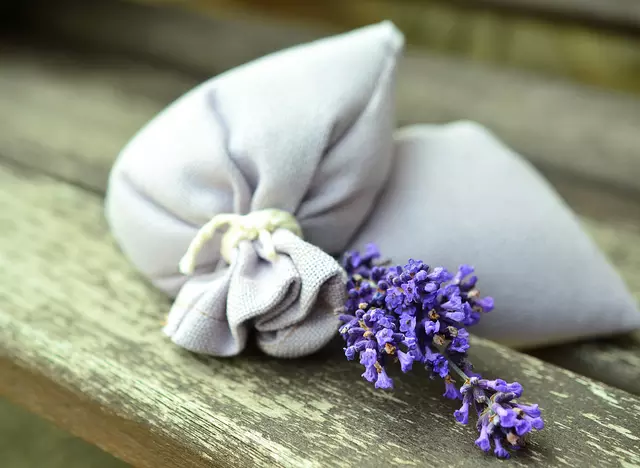 mit frischen Wildblumen auf dem Urlaubshof in Thüringen entspannen