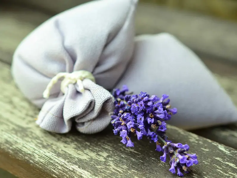 mit frischen Wildblumen auf dem Urlaubshof in Thüringen entspannen