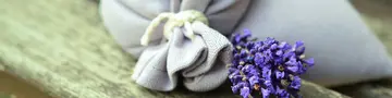 mit frischen Wildblumen auf dem Urlaubshof in Thüringen entspannen