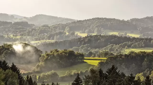 im Urlaub auf dem Bauernhof im Bayerischen Wald im Nationalpark wandern