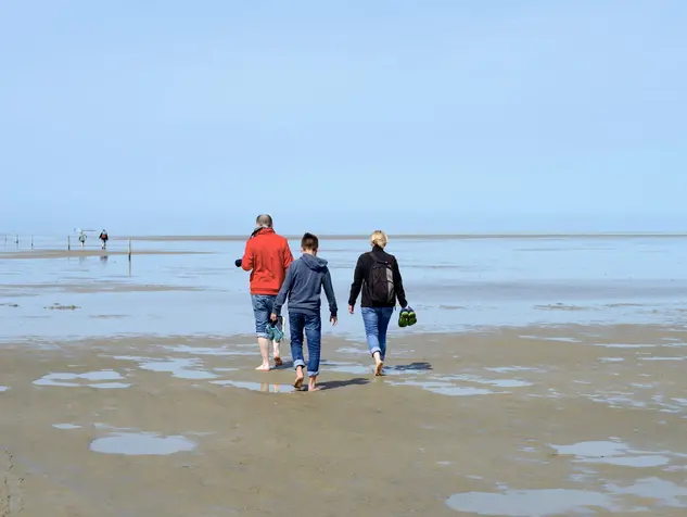 Familie von hinten bei einer Wattwanderung an der Nordsee