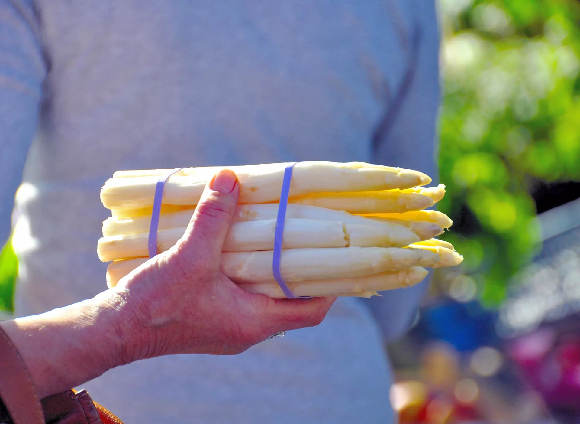 Frischen Spargel im Hofladen einkaufen