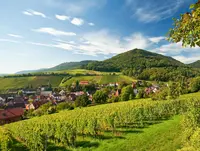im Urlaub auf dem Weingut in der Pfalz eine Weinbergwanderung machen und den Ausblick auf die Weinlandschaft genießen