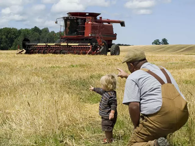 Bei einem Bauernhofurlaub kann man dem Bauern über die Schulter und bei der Getreideernte zuschauen.