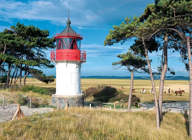 im Urlaub auf der Insel Rügel einen Schiffsausflug zur Insel Hiddensee