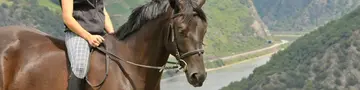 Reiterin zu Pferd vor Mittelrheintal