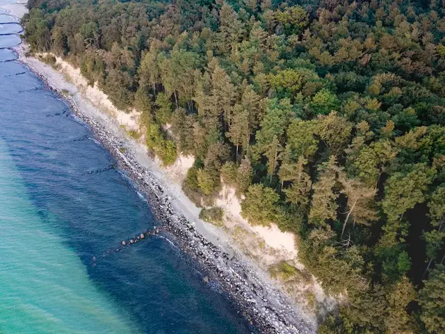 Eine Luftaufnahme zeigt einen Wald direkt an der Küste bei Grömitz in Norddeutschland während eines Urlaubs auf dem Land an der Ostsee.