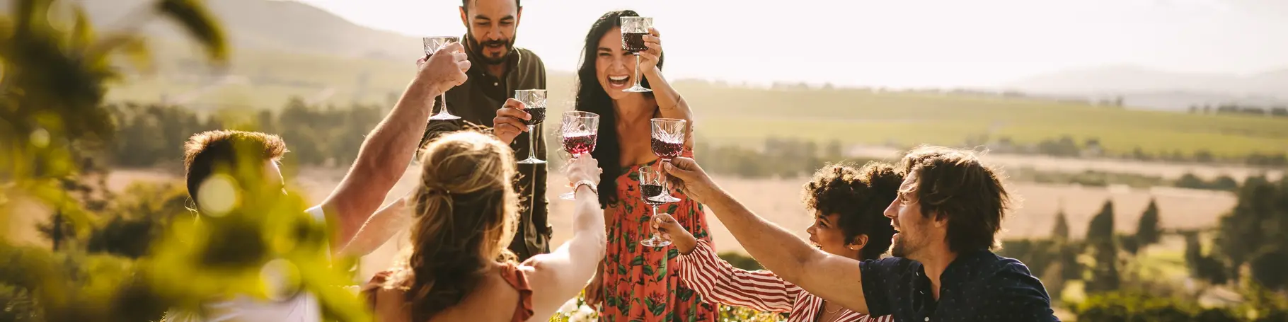 Friends making big party outdoors. Group of people toasting wine during a dinner party.