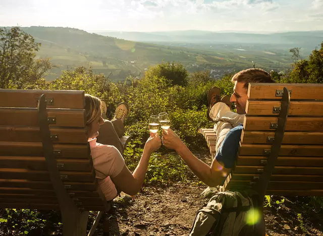 im Urlaub auf dem Weingut in Rheinhessen eine Wanderung mit Weinpicknick machen
