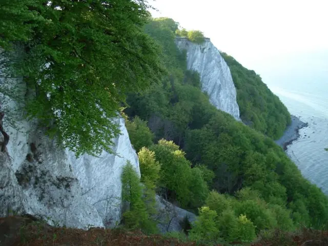 Kreidefelsen - © LANDURLAUB M-V
, Monika Hoffmann Den Blick vom Königsstuhl auf das "weiße Gold" der Kreideküste genießen.