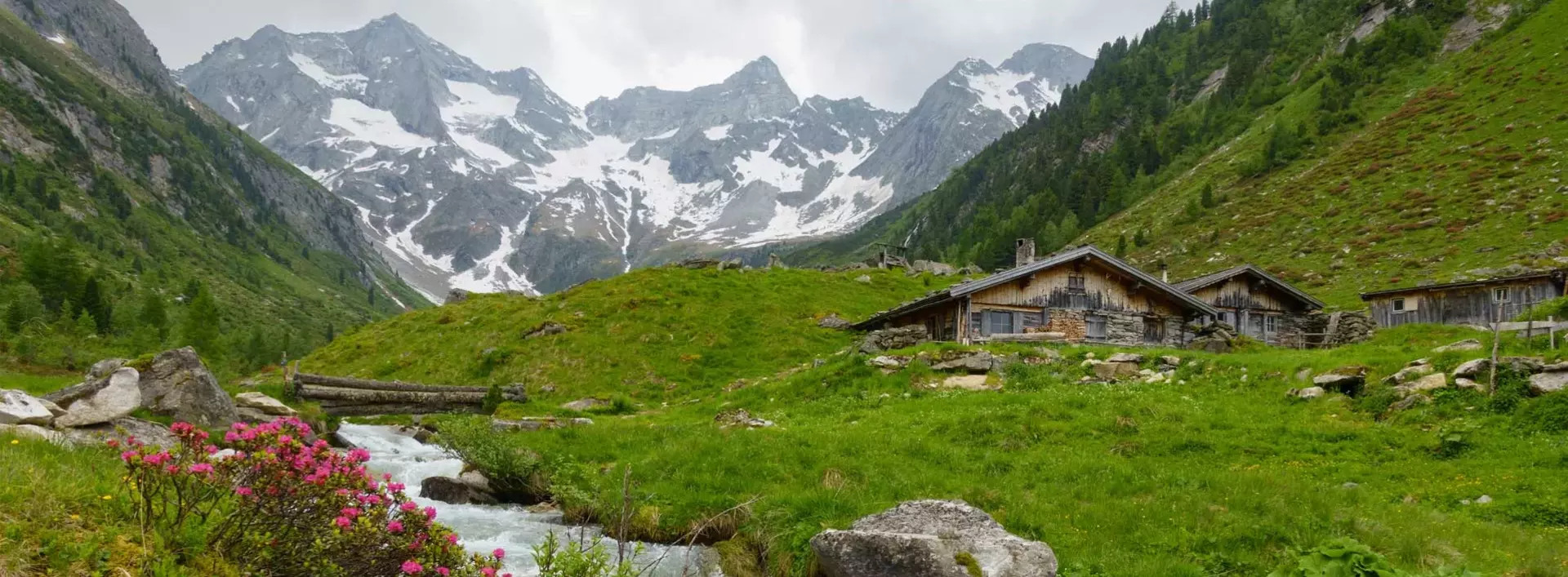 Urlaub in der Alm- oder Berghütte in den Alpen, im Schwarzwald oder im Harz.