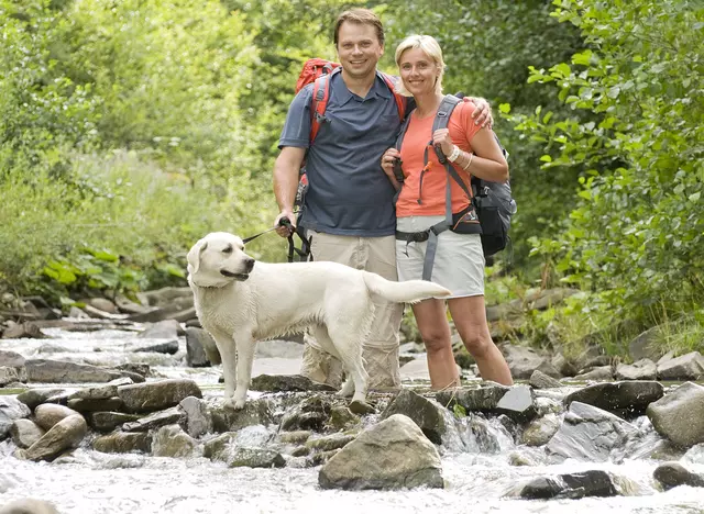 Bei einem Urlaub mit Hund in Thüringen kann auf den vielen Wanderwegen die Gegend erkundet werden.