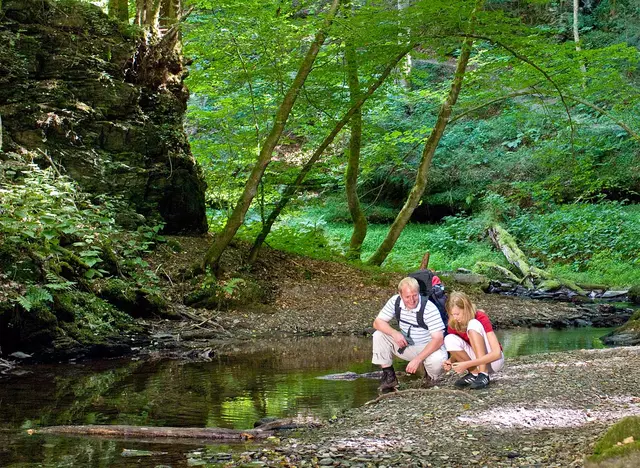 im Urlaub im Hunsrück eine Wanderung auf der Traumschleife Ehrbachklamm machen