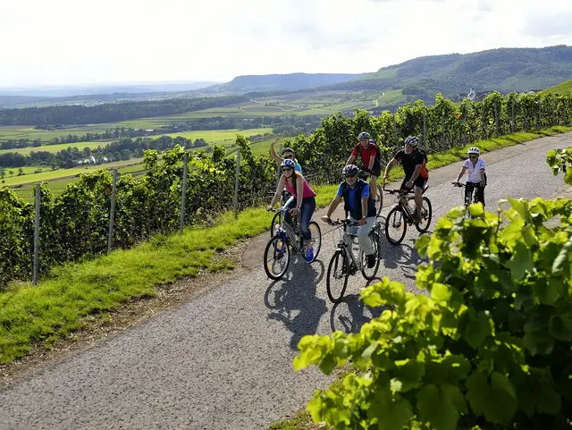 Radtour durch die Weinberge im Kraichgau - © Kraichgau-Stromberg Tourismus e. V., Jan Bürgermeister im Urlaub auf dem Weingut im Kraichgau eine Radtour durch die Weinberge machen