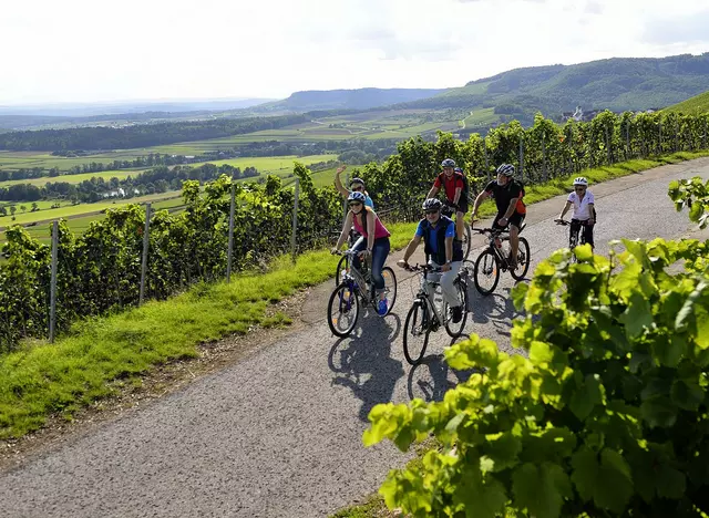 im Urlaub auf dem Weingut im Kraichgau eine Radtour durch die Weinberge machen