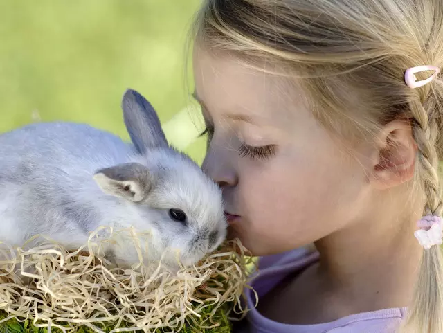 Mädchen schmust mit Kaninchen