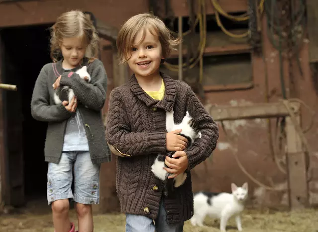 im Urlaub auf dem Bauernhof in Baden-Württemberg Katzen füttern und streicheln