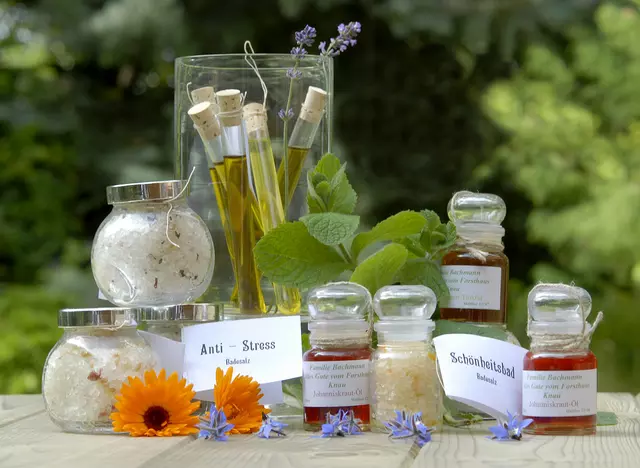 im Gesundheitsurlaub in Thüringen Wissenswertes über Kräuter erfahren