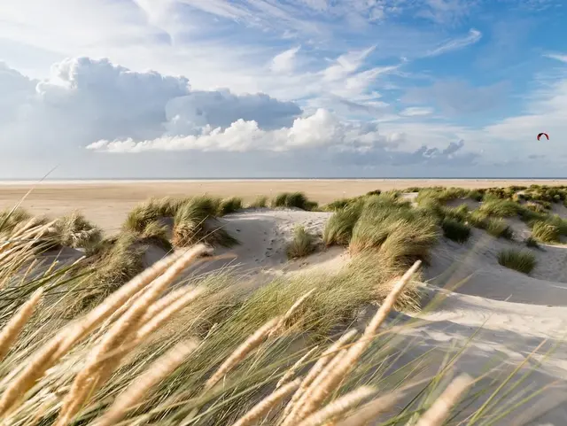 Düne mit Gräsern auf der Nordseeinsel Borkum in Ostfriesland, im Hintergrund ein Kitesurfer am Himmel, darüber eine teils bewölkte Atmosphäre und feiner Sand im Vordergrund.