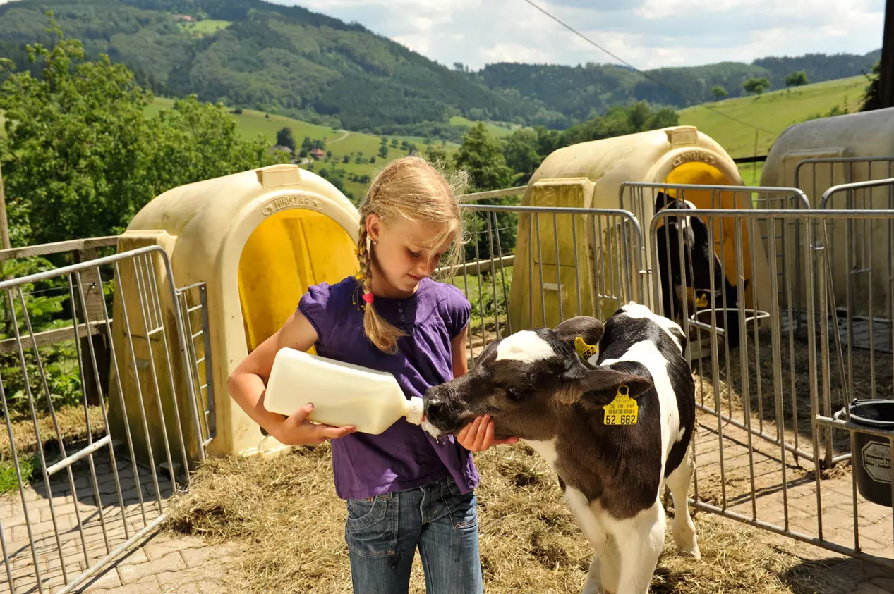 Urlaub_auf_dem_Bauernhof-für-Kinder - © , Susanne Mölle
Mädchen füttert Kälbchen