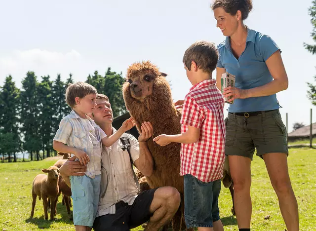 im Familienurlaub auf dem Bauernhof im Westerwald den Wildpark Marienpark besuchen