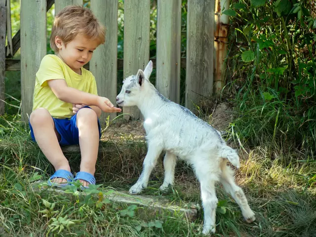 im Familienurlaub auf dem Bauernhof Tiere füttern und streicheln