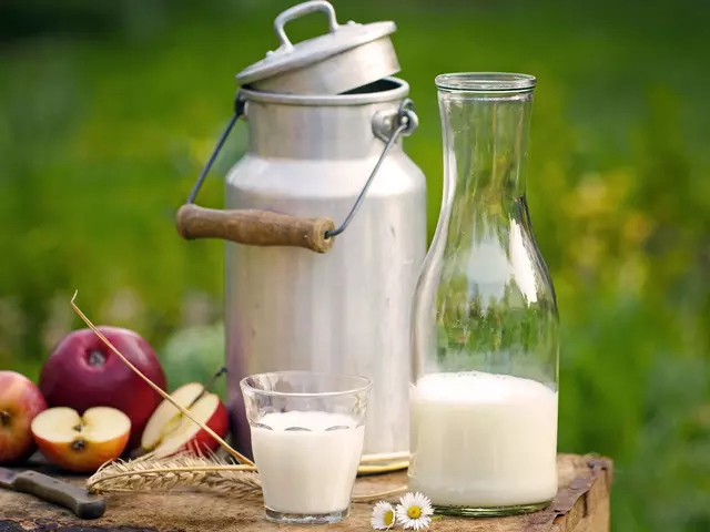 im urlaub auf dem Bauernhof frische Milch trinken