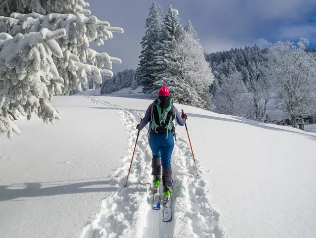 Austria, Vorarlberg, Bregenzerwald, Hittisau, skitour to Koppachstein