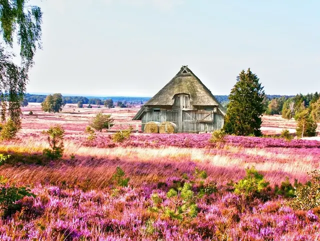 Lüneburger Heide Ferienhäuser: Scheune mit Reetdach