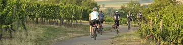 Radfahren im Aktivurlaub auf dem Land