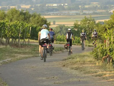 Radfahren im Aktivurlaub auf dem Land