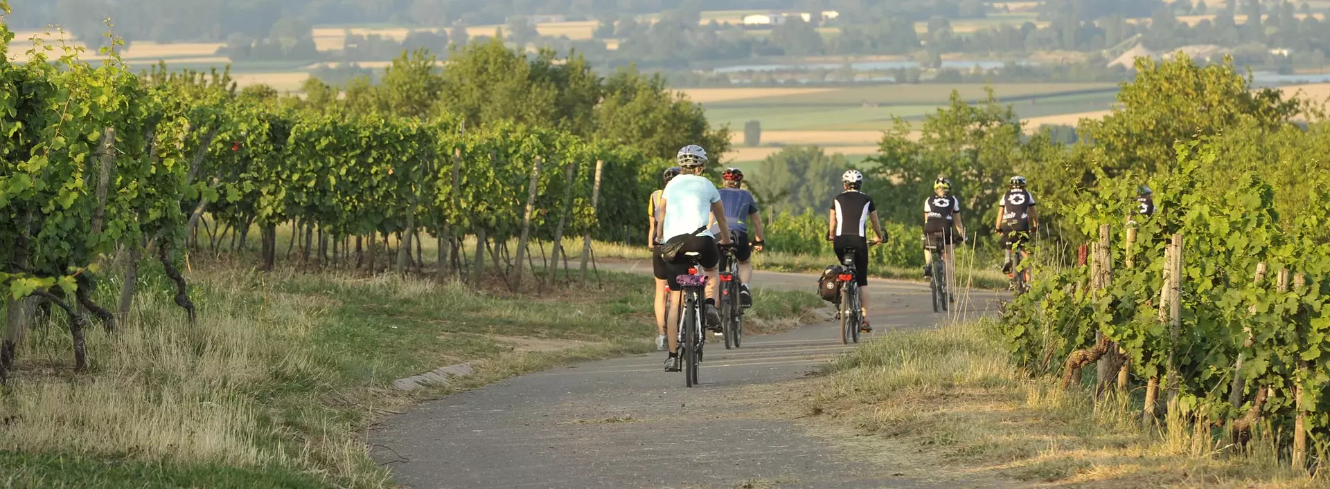 Radfahren im Aktivurlaub auf dem Land